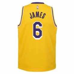 NBA Jerseys Nike Kids' Los Angeles Lakers LeBron James #6 Swingman Jersey