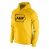 College Hoodies & Sweatshirts Nike Iowa Hawkeyes America Needs Farmers State Hoodie -Nike popular store unnamed file 6326