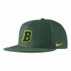 College Hats & Caps Nike North Dakota State Bison Replica Baseball Hat