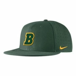 College Hats & Caps Nike North Dakota State Bison Replica Baseball Hat