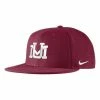 College Hats & Caps Nike Montana Grizzlies Replica Baseball Hat