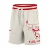 NBA Shorts Nike Chicago Bulls Courtside Fleece Short
