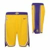 NBA Shorts Nike Kids' Los Angeles Lakers Swingman Icon Shorts
