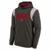 NFL Hoodies & Sweatshirts Nike Kids' Tampa Bay Buccaneers 2022 Therma Hoodie -Nike popular store unnamed file 7599